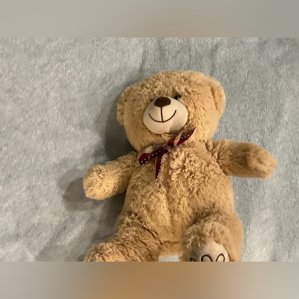 Adorable Tan Teddy Bear Plush Toy plus bag